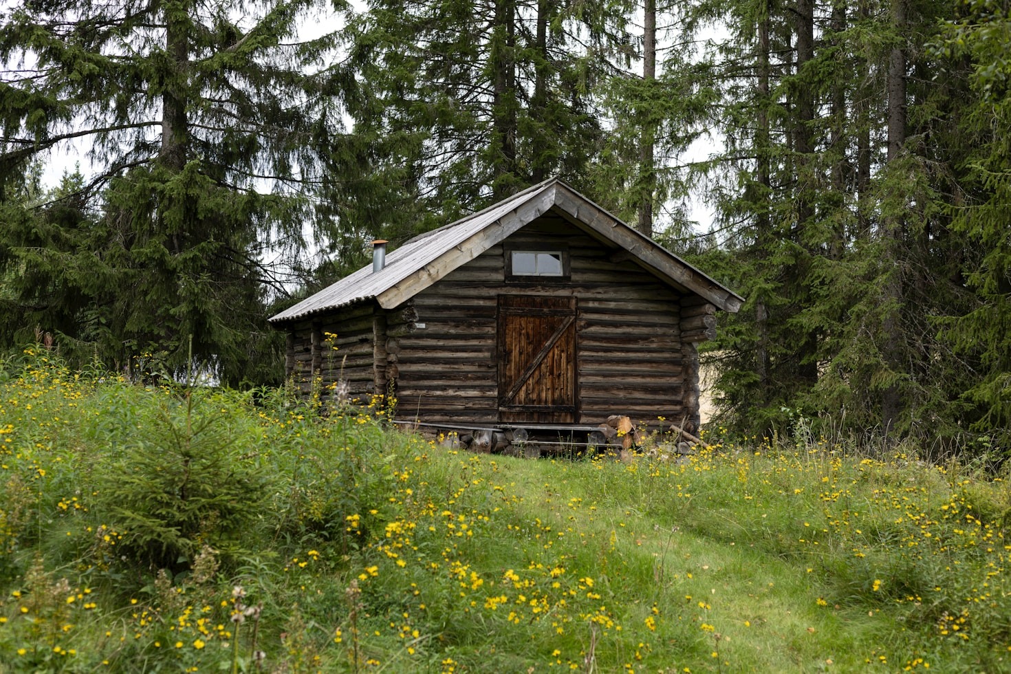 Les bienfaits d&rsquo;un séjour en forêt pour votre esprit